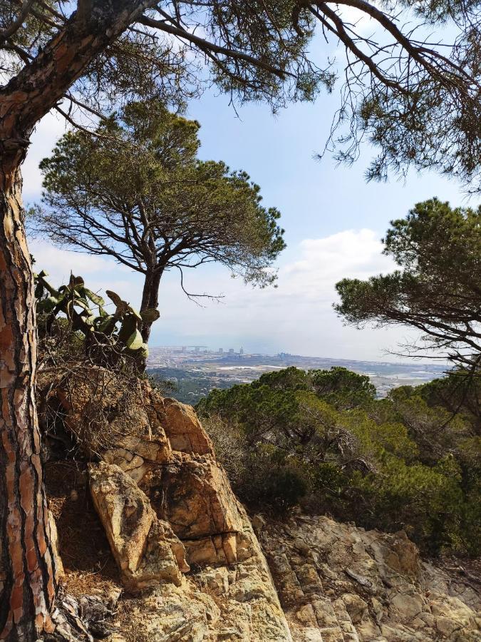 Cozy Place, Big Roof Terrace & Spectacular Views. Cabrils Dış mekan fotoğraf